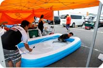 August 2, 2014 (Sat) Photo Gallery