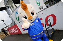 May 17, 2015 (Sun) Photo Gallery