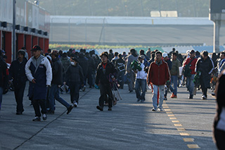 November 17, 2018 (Sat) Photo Gallery