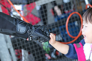 November 17, 2018 (Sat) Photo Gallery