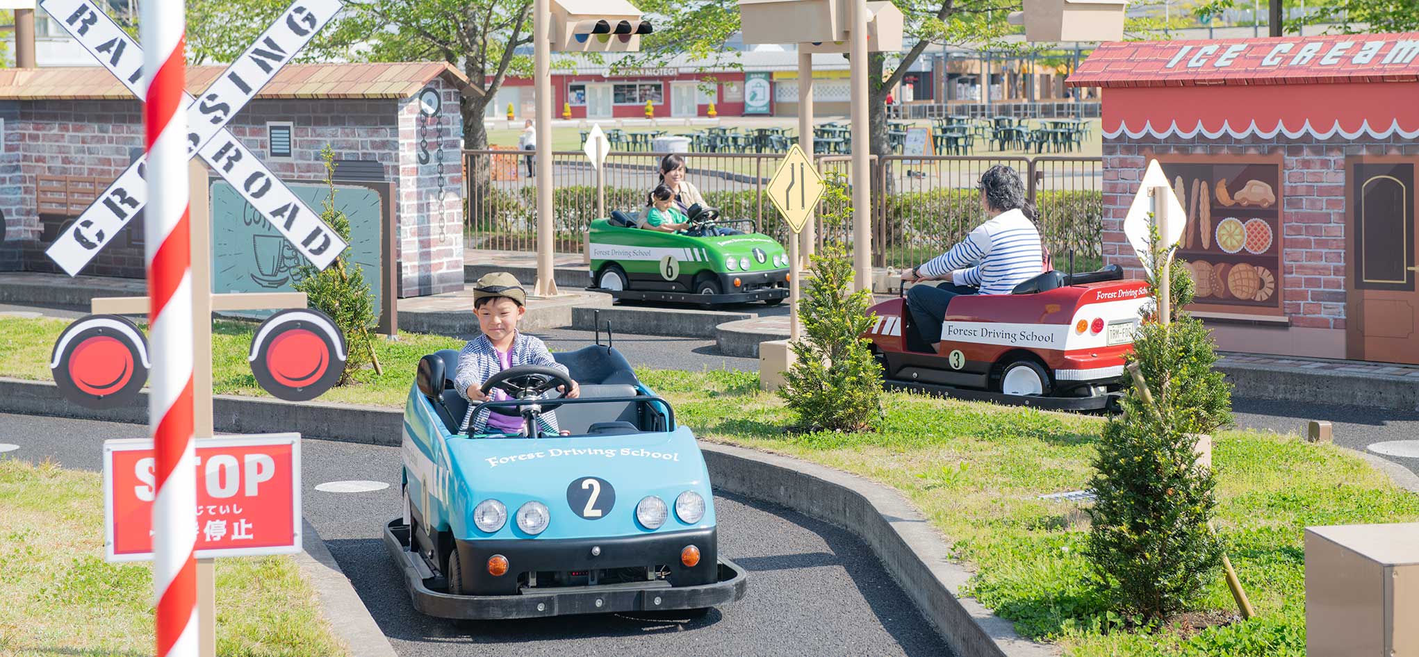 Forest Driving School