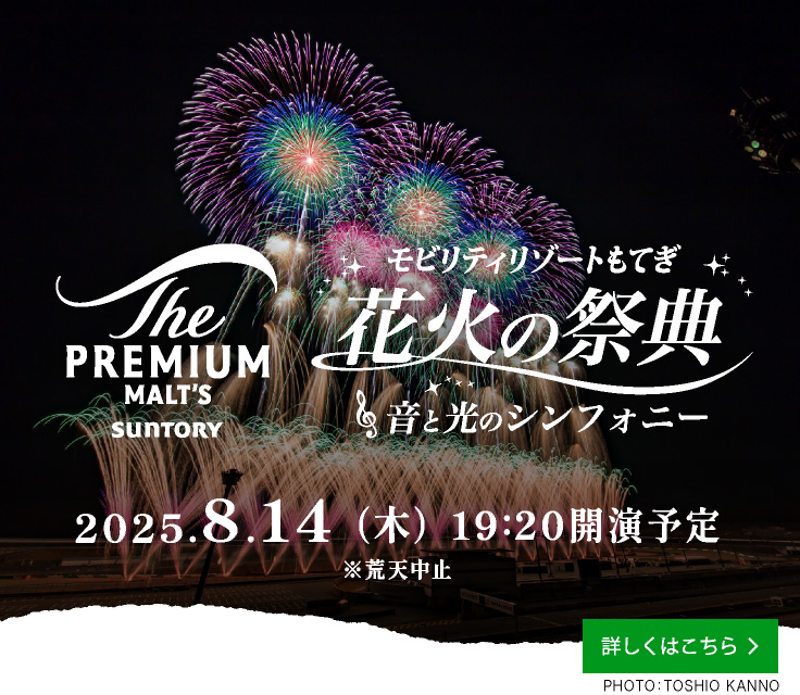 Firework Festival Summer