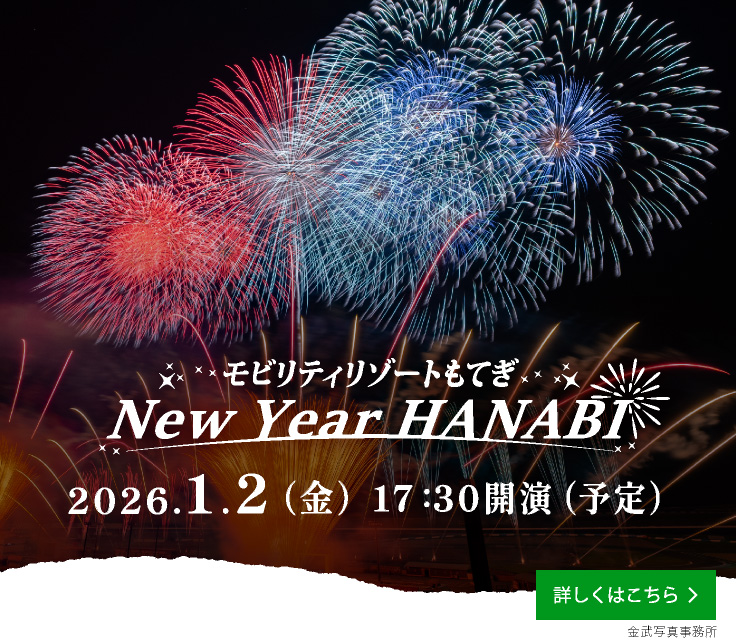 View details of the Winter Firework Festival