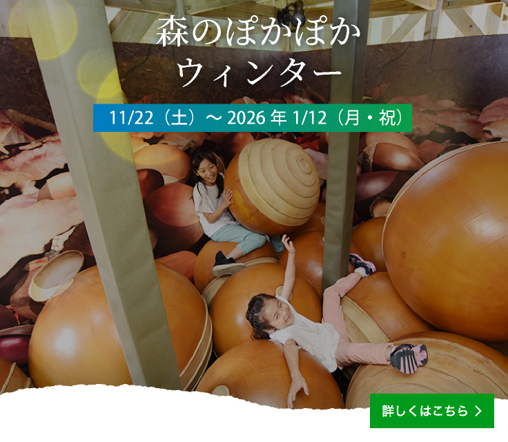 Autumn/Winter Events