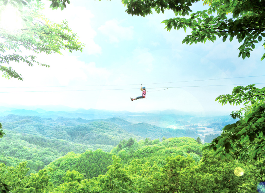 Forest Zipline, Musasabi