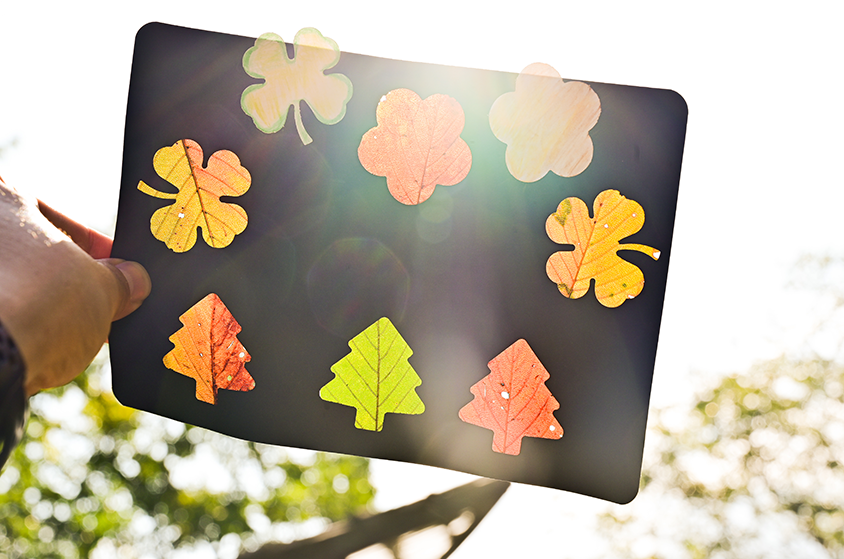Fallen Leaves Stained Glass Art Frame