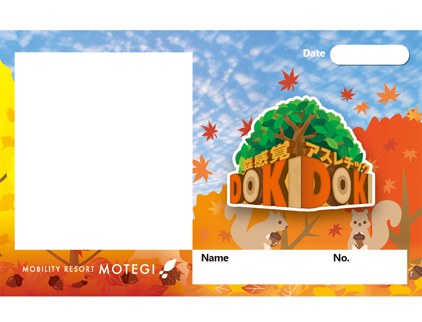 Acorn Exploration Card