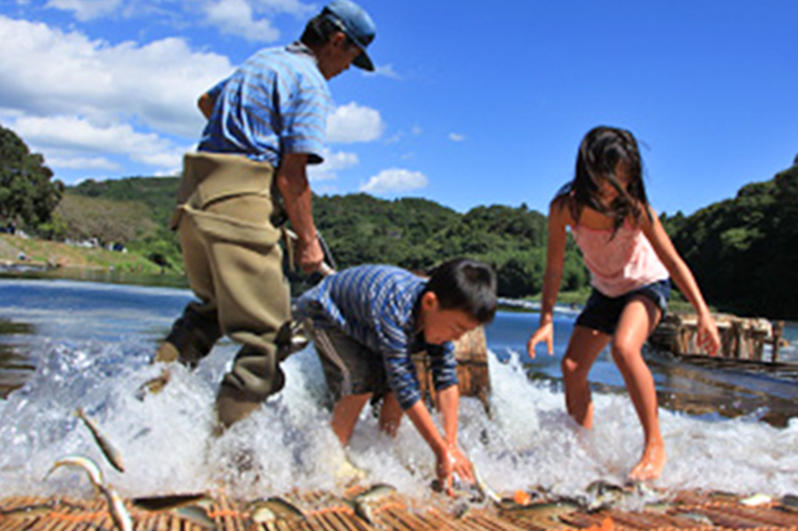 Ose Sightseeing, huh