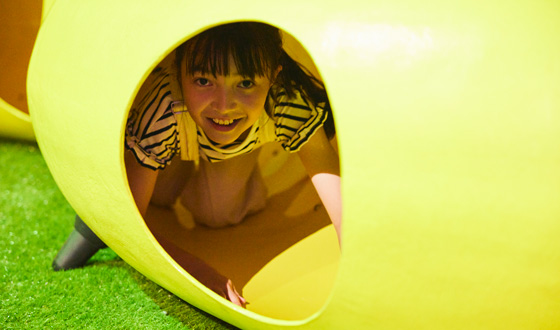 Hide and Seek in the Forest that Everyone in the Family Will Love!