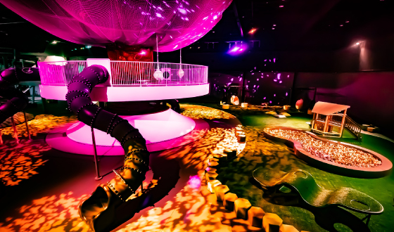 Experience the changing seasons of the forest with the tree net of deciduous trees.