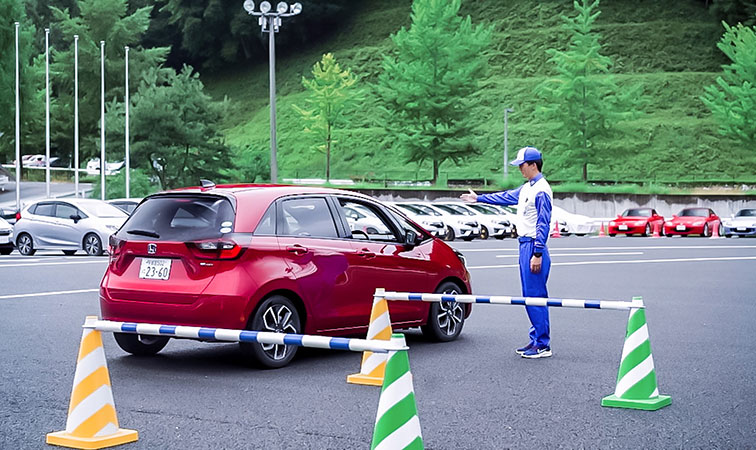 Vehicle Sensation and Garage Parking