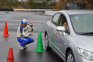 Garage Parking and Parallel Parking