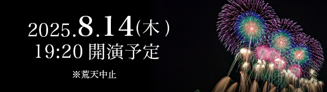 Mobility Resort Motegi Firework Festival Ticket Information