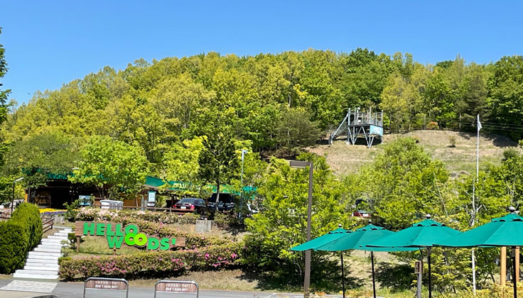 実は知らない？ハローウッズに隠されたコンセプトや想いをまるごと大公開！