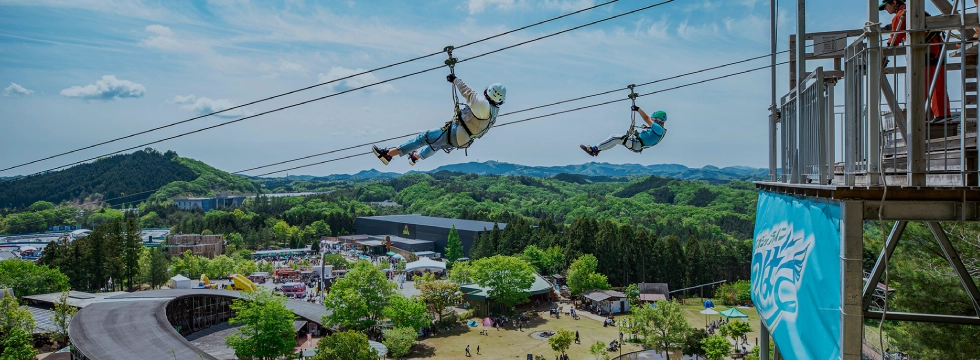 アクティビティ