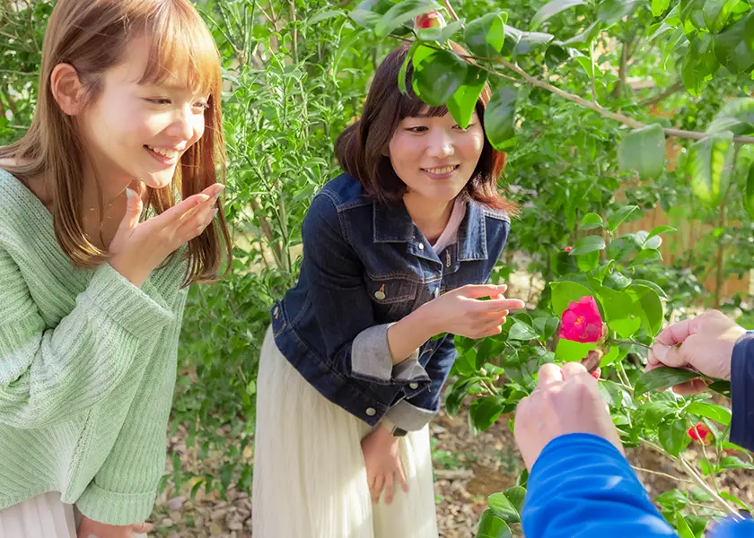 キャストウォーク