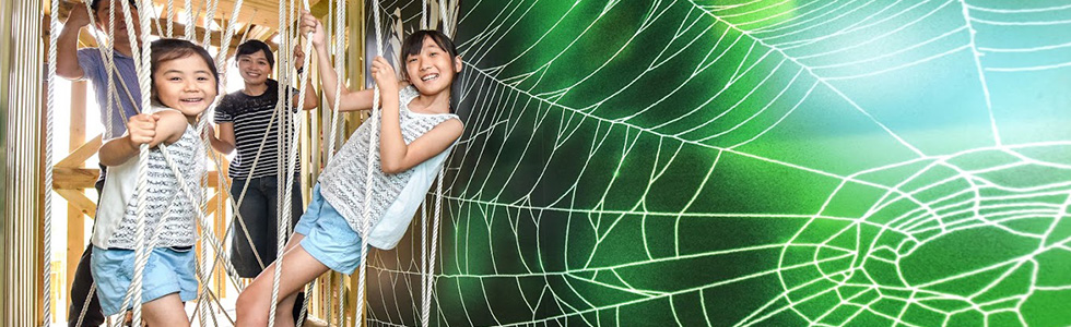 子ども団体（子供会、学童保育、学習塾）