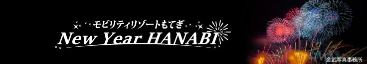 花火の祭典 冬