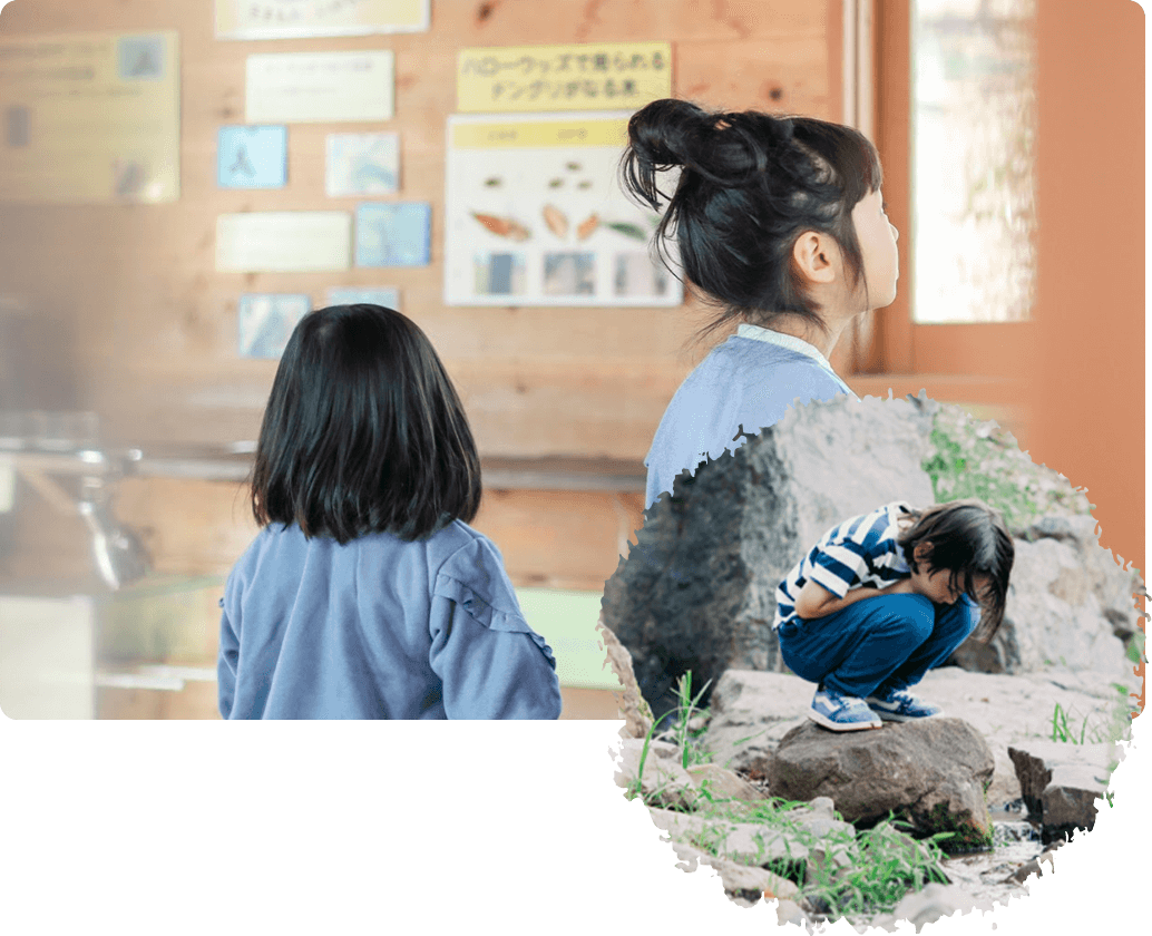 生きものの研究室