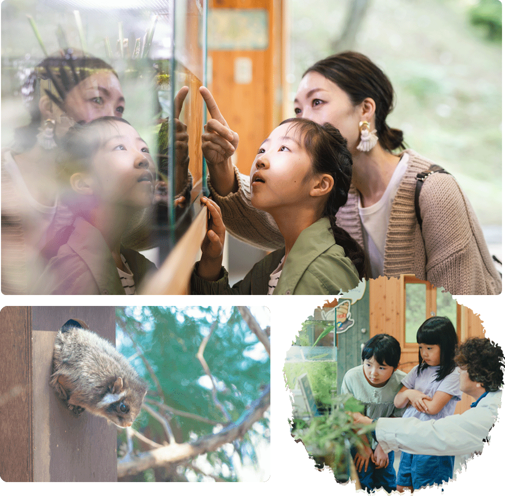 生きものの研究室