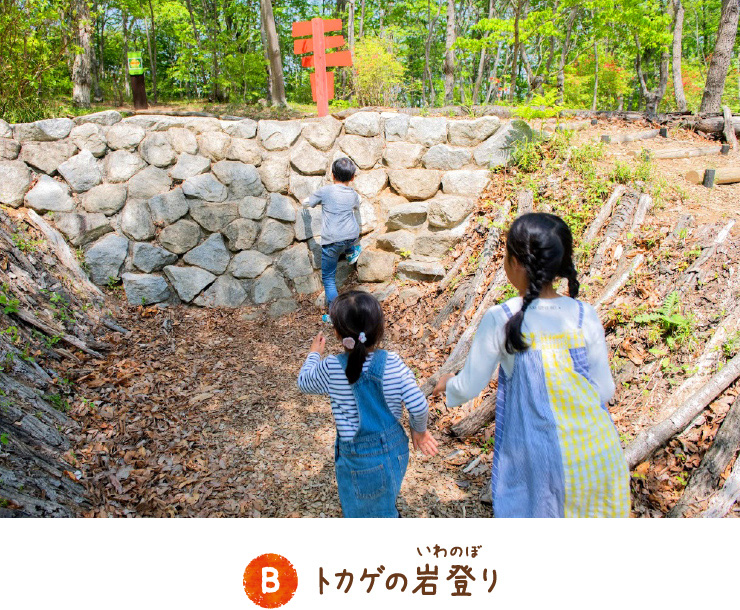 トカゲの岩登り