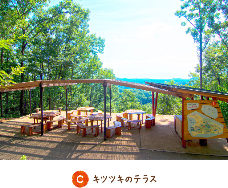 キツツキのテラス