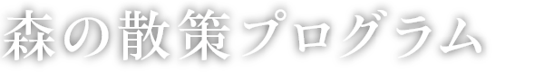 森の散策プログラム