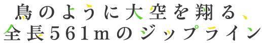 鳥のように大空を翔ける、全長561ｍのジップライン