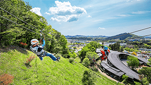 メガジップラインつばさ