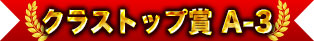 クラストップ賞 A-3