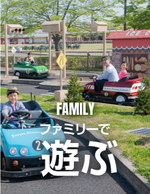 ファミリーで遊ぶ