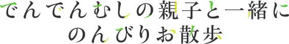 でんでんむしの親子と一緒にのんびりお散歩