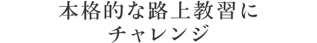 森の市街地コースをドライブして交通ルールを学ぼう