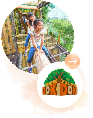 森感覚アスレチック DOKIDOKI