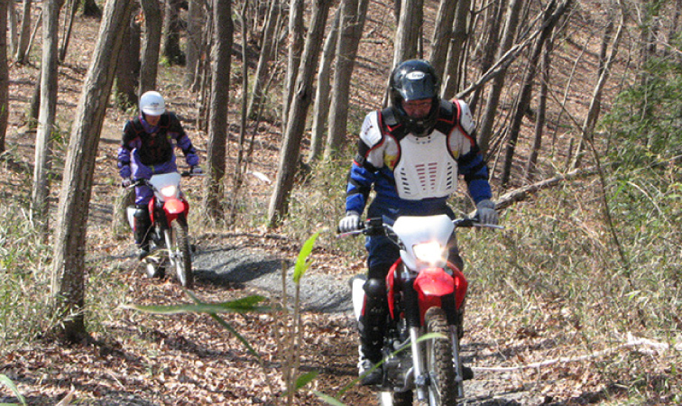 林道トレッキングチャレンジ