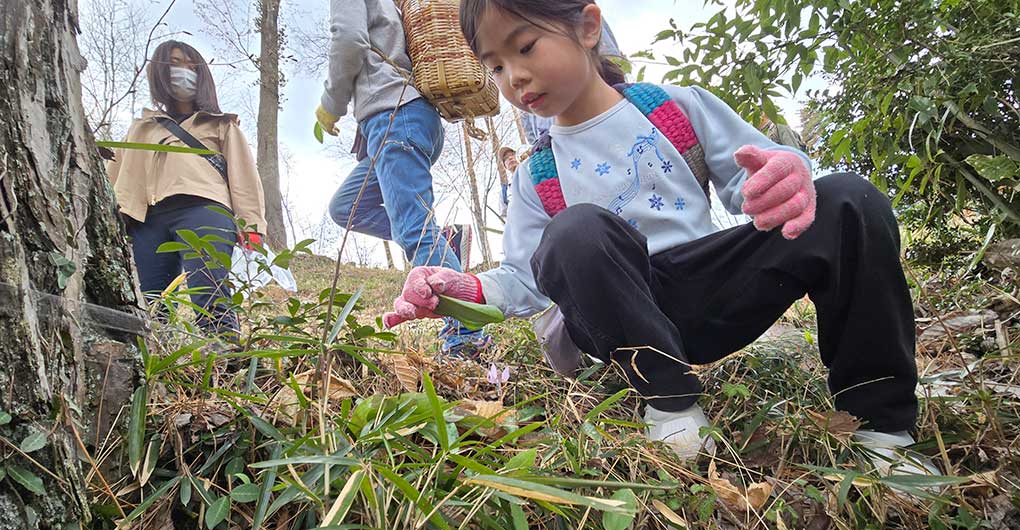 親子山林體驗遊戲