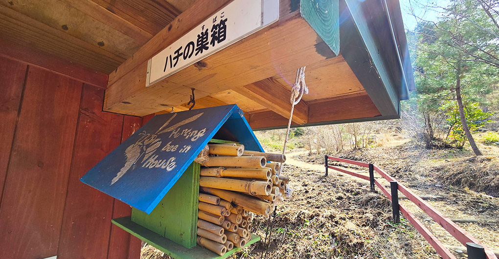 親子山林體驗遊戲