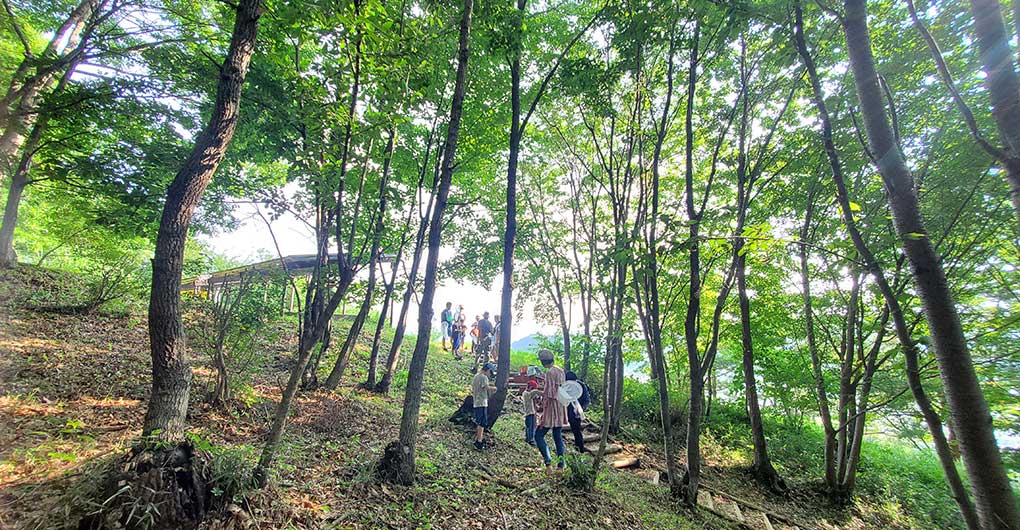 尋找生物家庭露營～夏季生物篇～