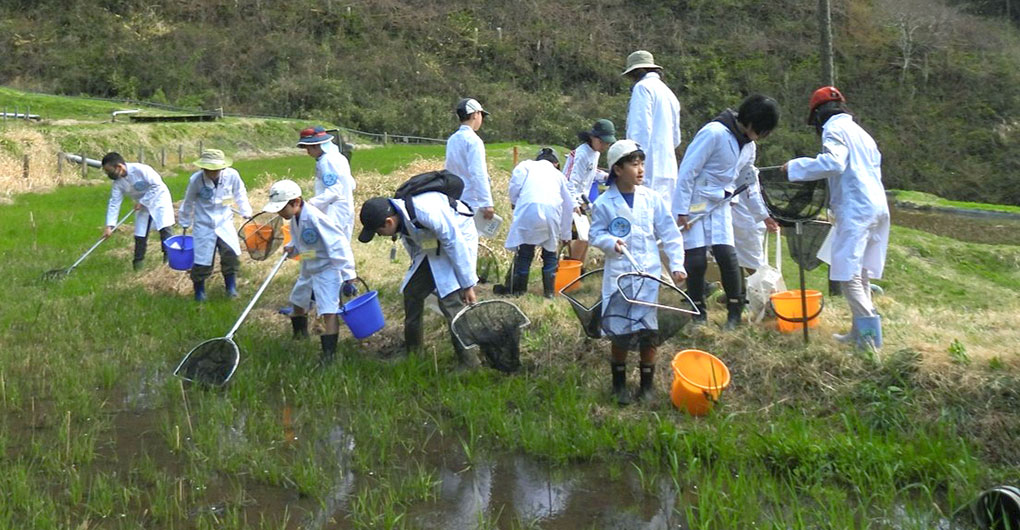 【會員制】水生生物兒童研究員
