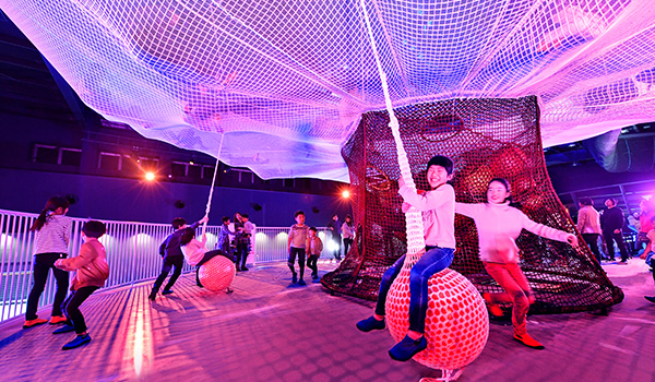 巨大網林　SUMIKA