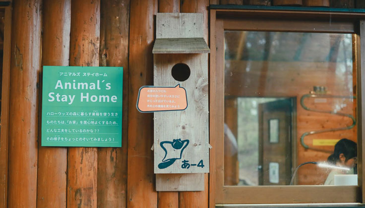 生物研究室裡有什麼？詳細解說其魅力！