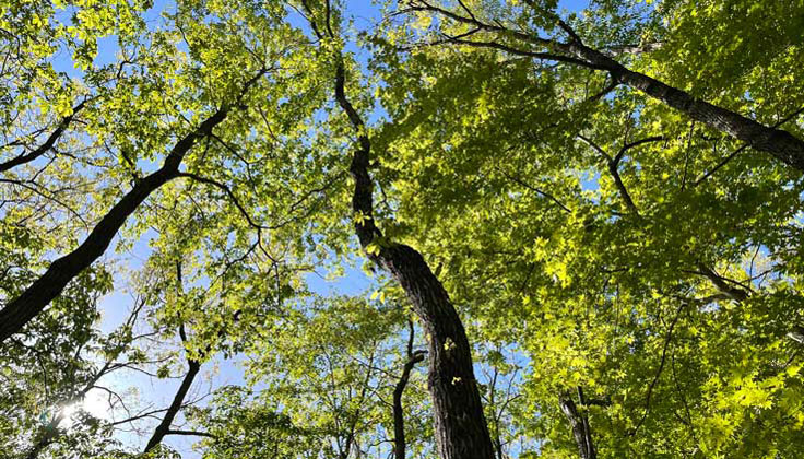 早起參加活動吧！在Mobility Resort Motegi推薦的早晨時光