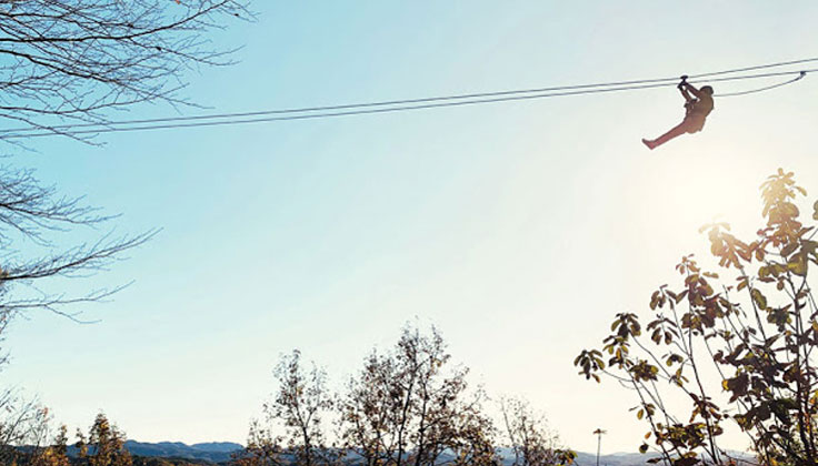 每天只限幾組！早上最推薦的「森林滑索飛行鼠」帶來高級感！