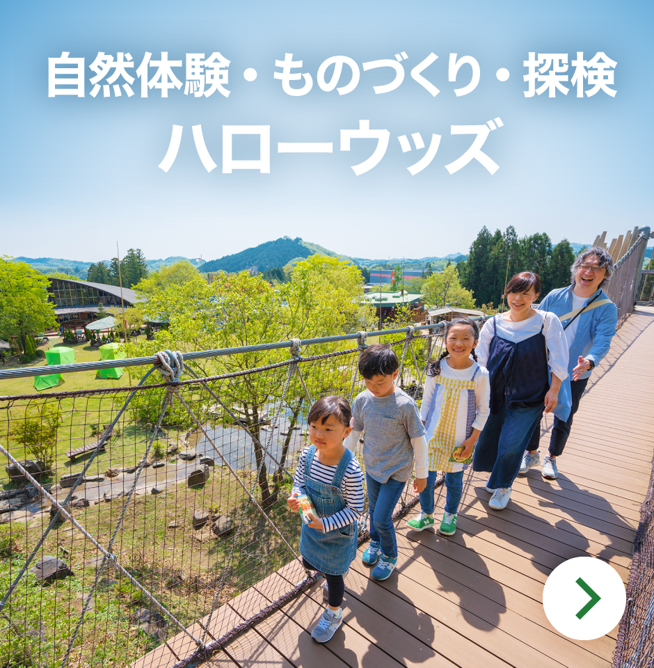 自然體驗・手作・探險Hello Woods