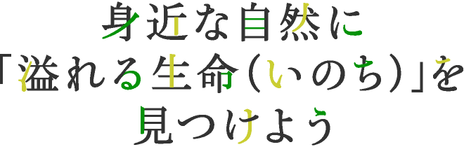 尋找身邊充滿生命的大自然