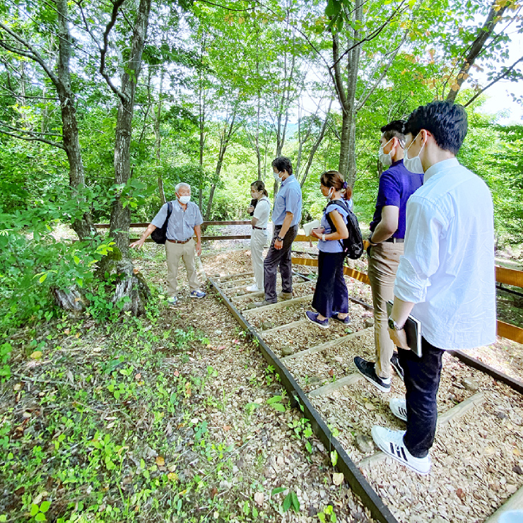 去Hello Woods森林看看