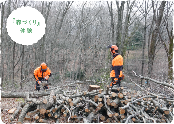 「發現・思考」