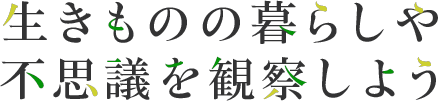 生物的生活和奇妙的觀察