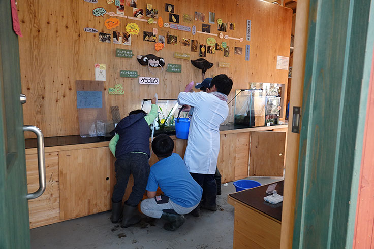 與兒童研究員一起建立水生生物研究室