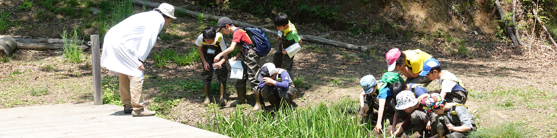 小學生會員「水生生物兒童研究員」